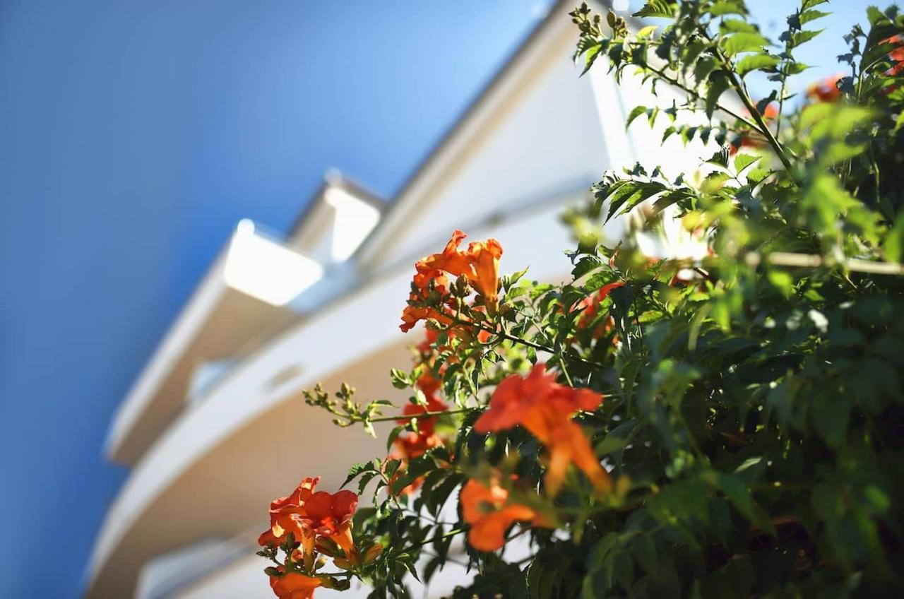 نوفاليا Apartment Avada المظهر الخارجي الصورة